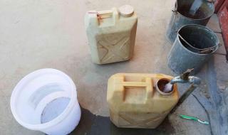 新搬来邻居家的麦子 新搬来邻居家的麦子